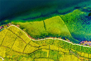 上帝視角&ldquo;瞰&rdquo;阿蓬江 三月春花春水漾