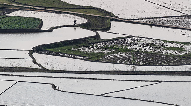 重慶南川：春耕田園五線譜 廣袤農田身影忙