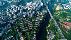 昔日臭水塘變濕地公園 北碚龍灘子水庫成市民休閒新去處