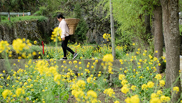 【城市相冊】甜蜜飛出山溝溝