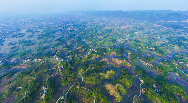 重庆梁平43万余亩稻田播种希望 绿意盎然画美景