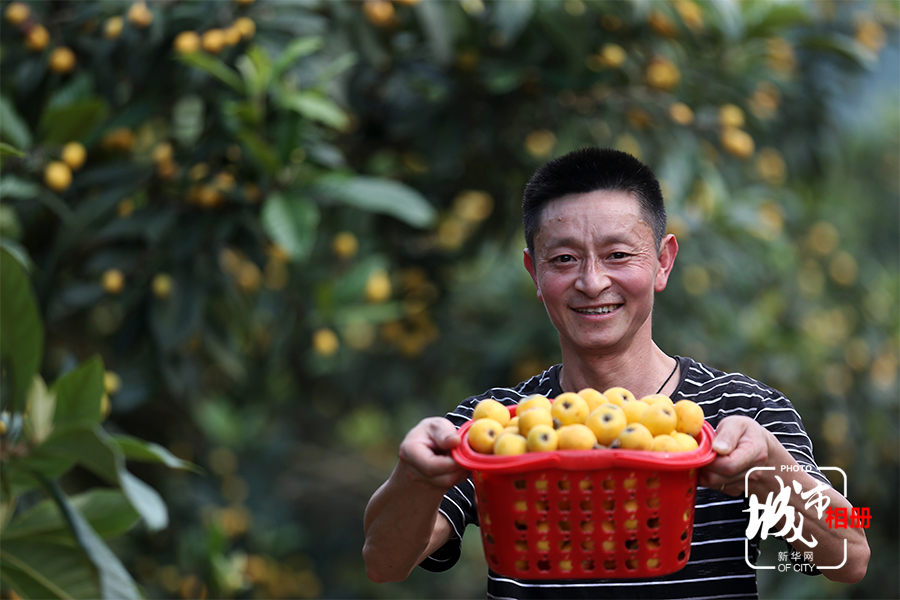 五月，正是很多水果成熟的时候，周政的家庭农场也迎来了丰收季。每天穿梭在结满硕果的林间，周政的脸上挂着笑容。