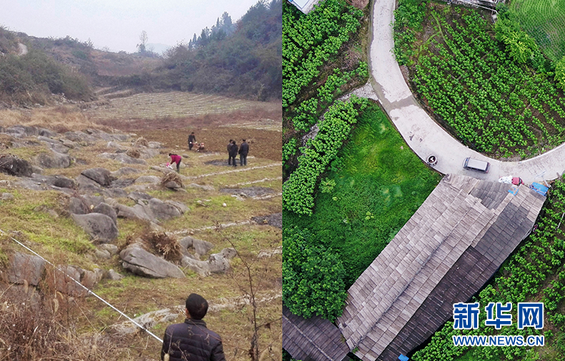 與石頭&ldquo;苦幹&rdquo;到底