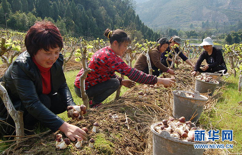 人地有矛盾，扶農業&ldquo;立起來&rdquo;