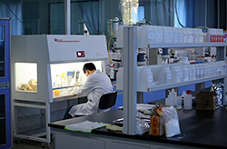 重慶榮昌：點亮&ldquo;科技樹&rdquo;，産業結碩果