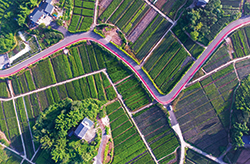 銅梁&ldquo;綠道經濟&rdquo;起跑