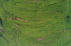 直播：第二屆中國重慶&middot;涪陵榨菜産業博覽會