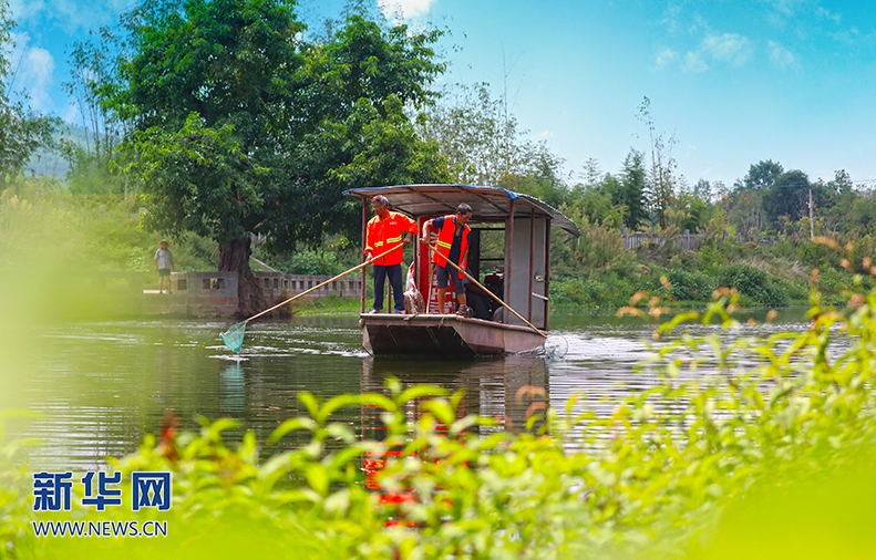 一年一本8000萬水生態賬