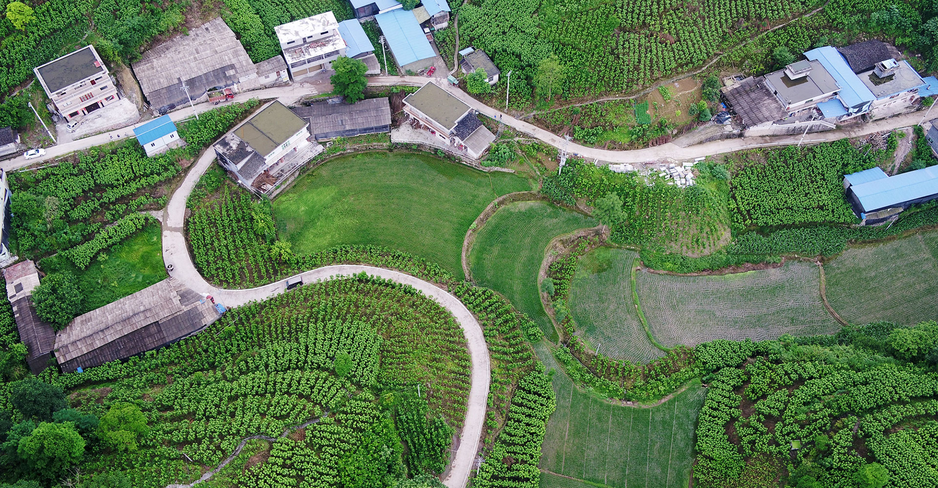 石漠化治理的黔江路徑