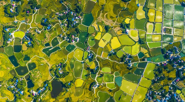 俯瞰重慶梁平秋日稻海 山水田園繪就豐收圖景