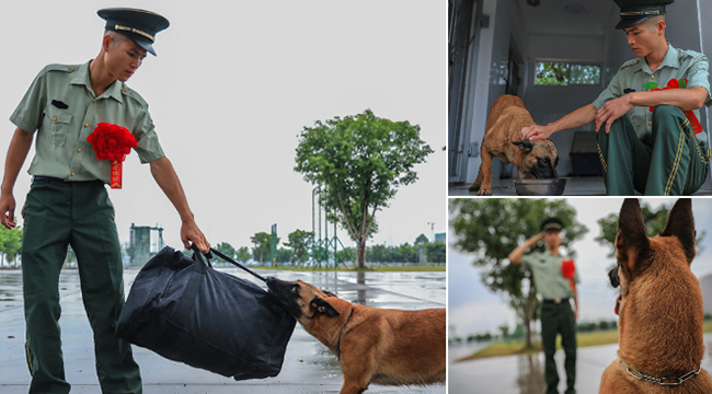 舍不得你走！老兵退伍 警犬緊咬行李不放