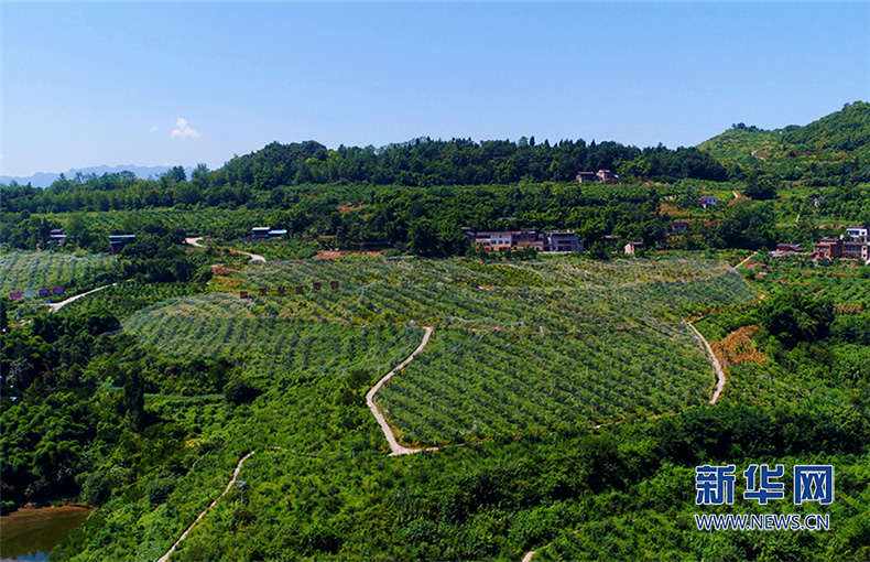 前行萬州，從田埂到康莊