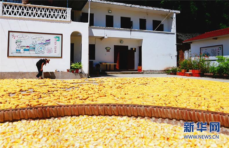 各村抱團解決市場難題