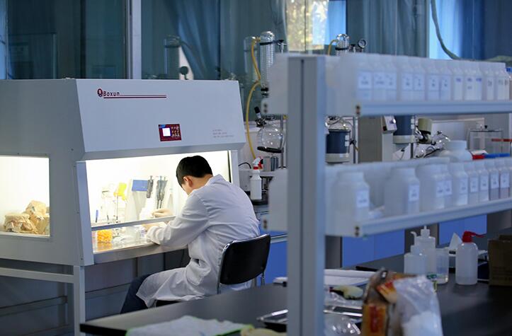 一頭&ldquo;榮昌豬&rdquo;撬動250億大産業