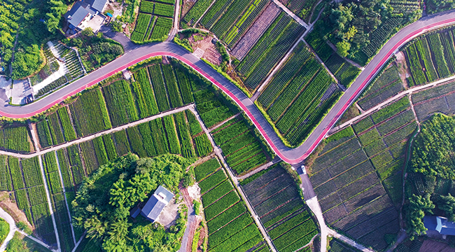 銅梁&ldquo;綠道經濟&rdquo;起跑