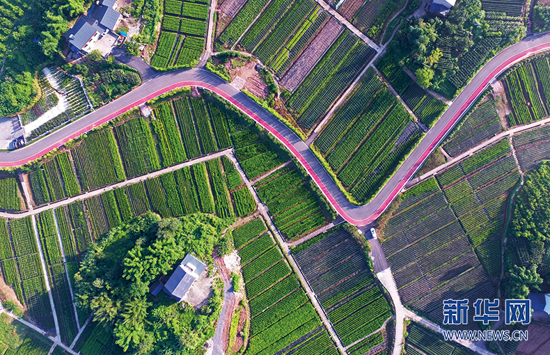 清早，重慶銅梁城區的西郊剛剛從沉睡中醒來
