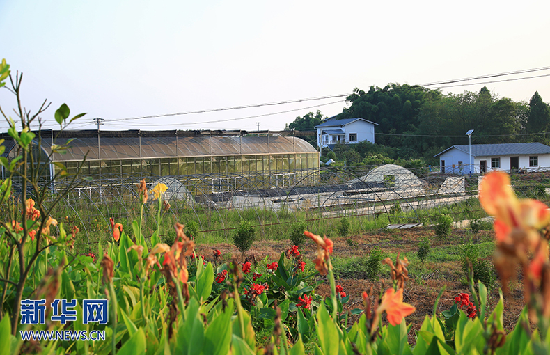 補短板縮短&ldquo;城鄉路&rdquo;