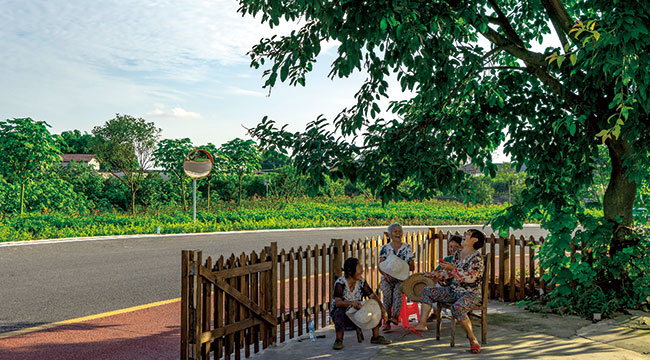 綠道條條到康莊