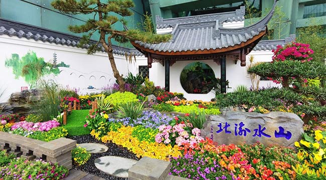 赴一場深秋重慶的&ldquo;熱鬧花宴&rdquo;