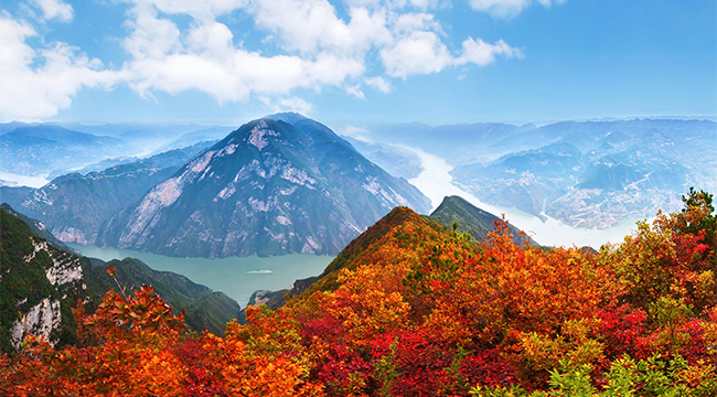無人機航拍：紅葉點綴三峽秋