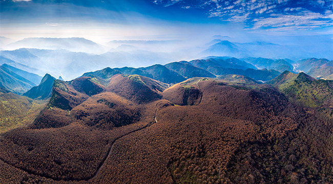 秋色無邊！重慶巫山梨子坪迎最美秋景