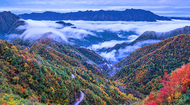 大巴山葉子披上五彩斑斕&ldquo;外衣&rdquo;