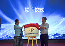 7月4日，重庆成立知识产权大数据应用联盟