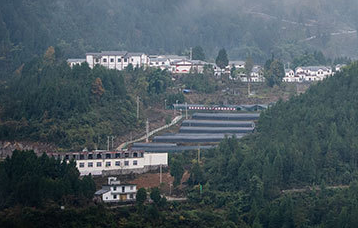 “小经济”做活脱贫“大文章”