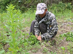 酉阳：金融扶贫铺平致富路 要让村民腰包鼓