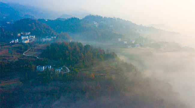 煙雲如畫！巫溪這個村子好美