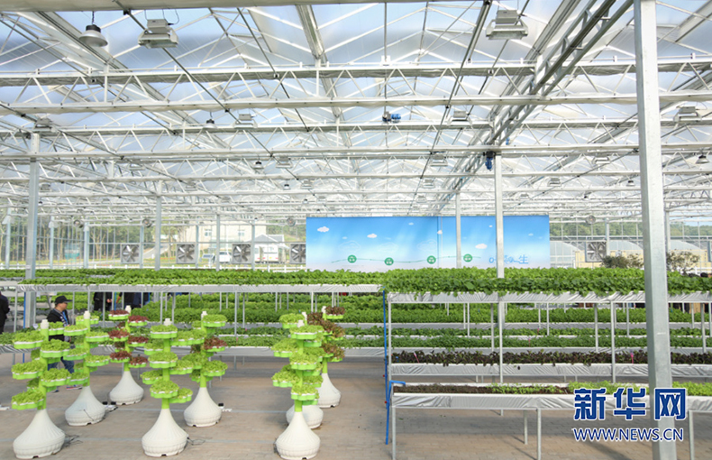 溯源一粒優中選優的種子