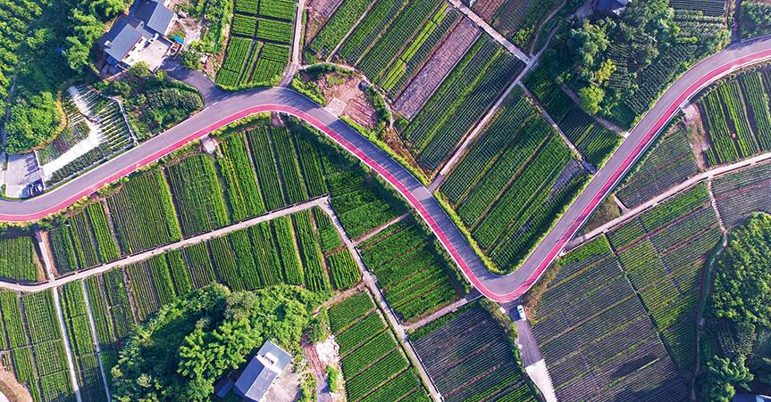 重慶銅梁：城鄉融合駛入&ldquo;綠道&rdquo;