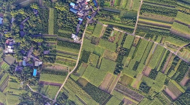 長江入渝第一島田園風光美