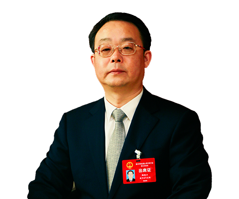 新华专访重庆市人大代表,梁平区委书记 杨晓云