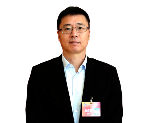 新华专访市政协委员,龙湖集团副总裁,重庆龙湖总经理 崔恒忠