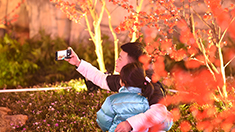 濃濃年味等你來打卡 重慶三峽廣場點亮迎春燈飾