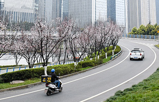 二月山城&ldquo;雲&rdquo;賞花