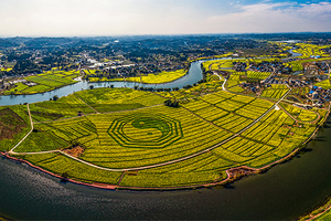 重慶潼南萬畝油菜花盛開 邀你&ldquo;雲端賞景&rdquo;