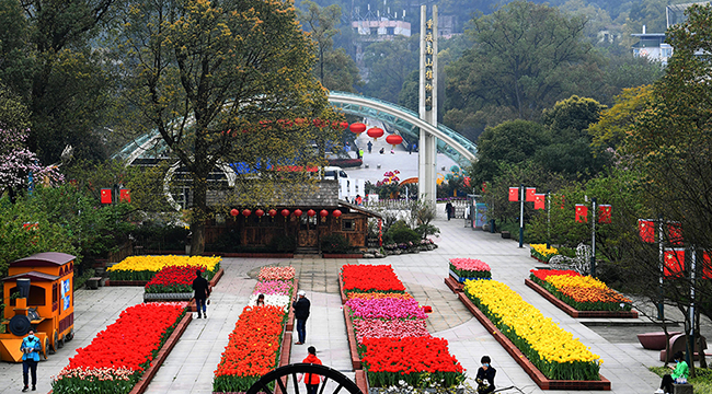 重庆植物园春色满园重开放
