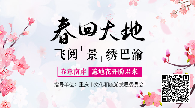 【春回大地，飞阅&ldquo;景&rdquo;绣巴渝】春意南岸 遍地花开盼君来