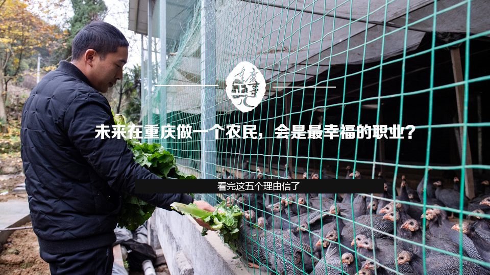未来在重庆做一个农民，会是最幸福的职业？看完这五个理由信了