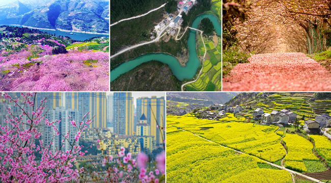春分| 十張圖片告訴你：山城無處不飛花！
