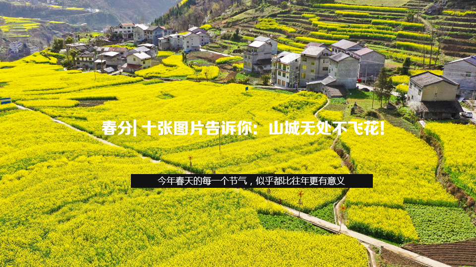 春分| 十張圖片告訴你：山城無處不飛花！