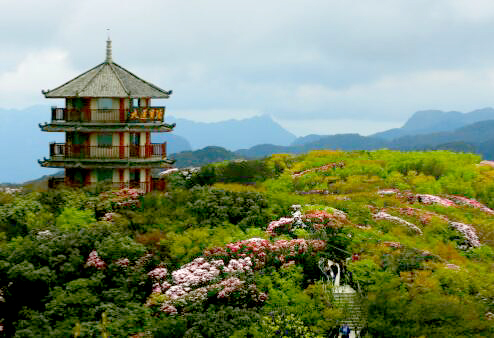 南川：提升“金佛山•福南川”品牌形象 以新面貌承接市场需求