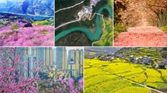春分|山城無處不飛花！