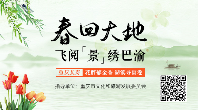 【春回大地，飛閱&ldquo;景&rdquo;繡巴渝】重慶長壽：花醉鬱金香 湖濱尋畫卷