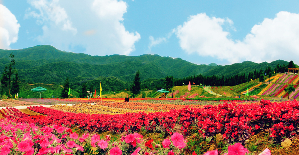 云中花都百花春色
