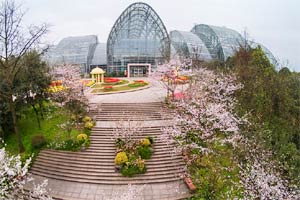 航拍南山植物園：春色滿園關不住 繁花似錦綴山城
