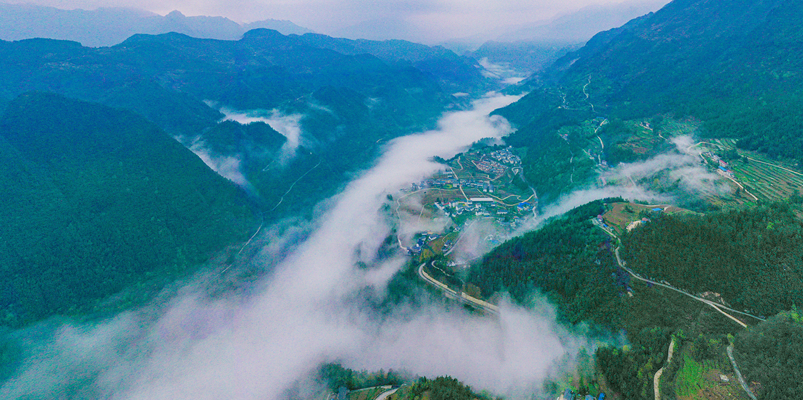 无人机航拍：茶山村的春天