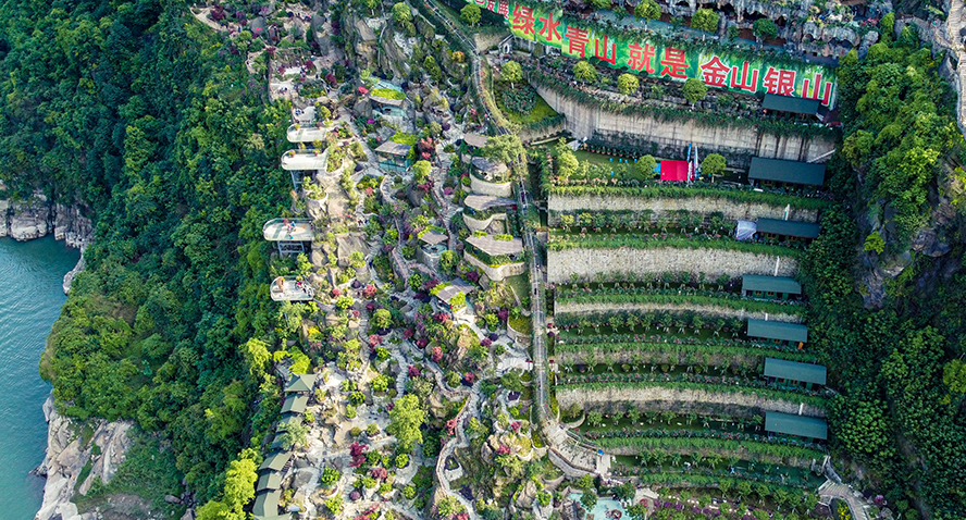 长江之滨的这个花谷 看一眼就醉！